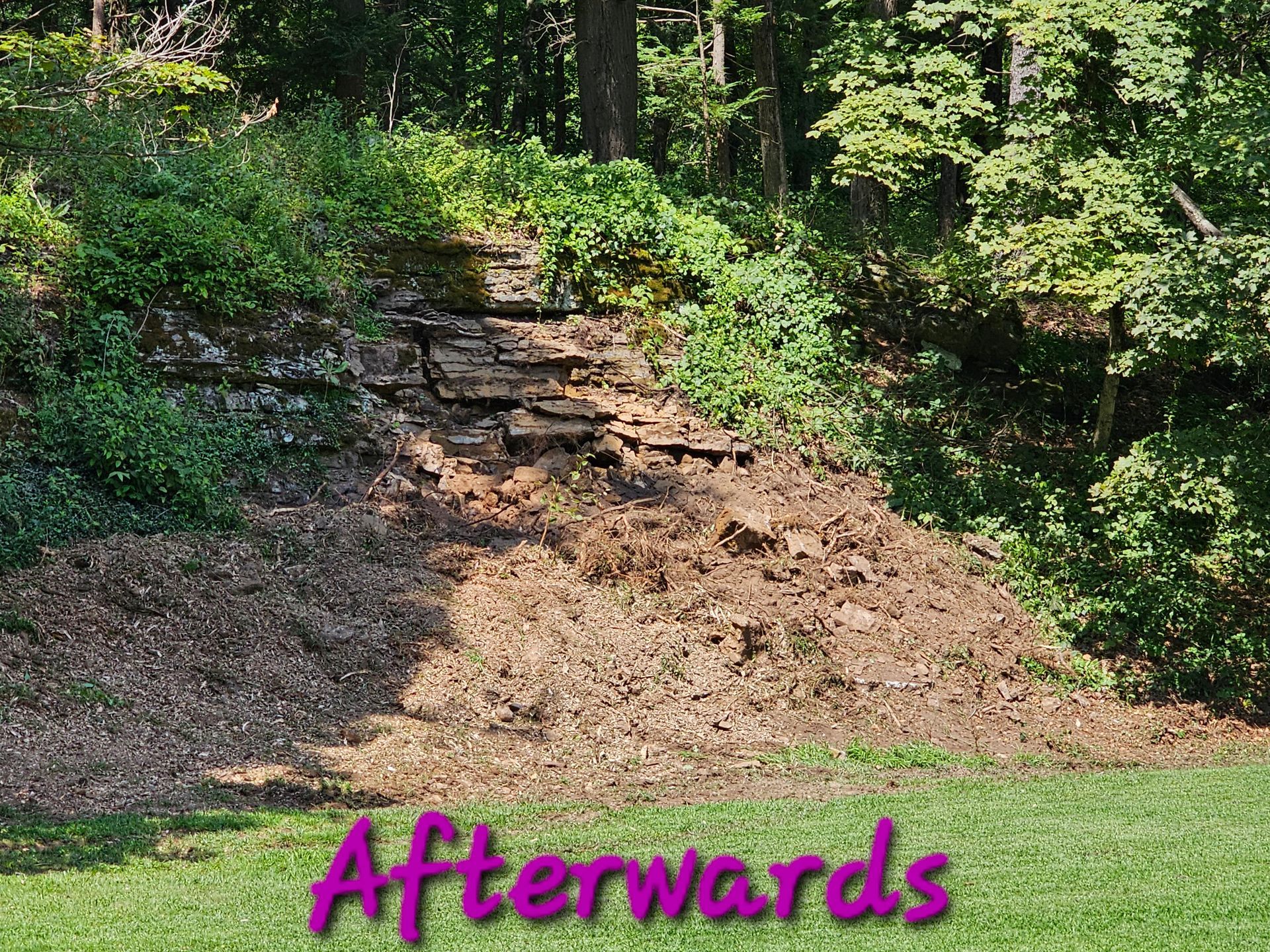 Wooded hillside with a dirt path and stone steps, labeled “Afterwards” in purple text.