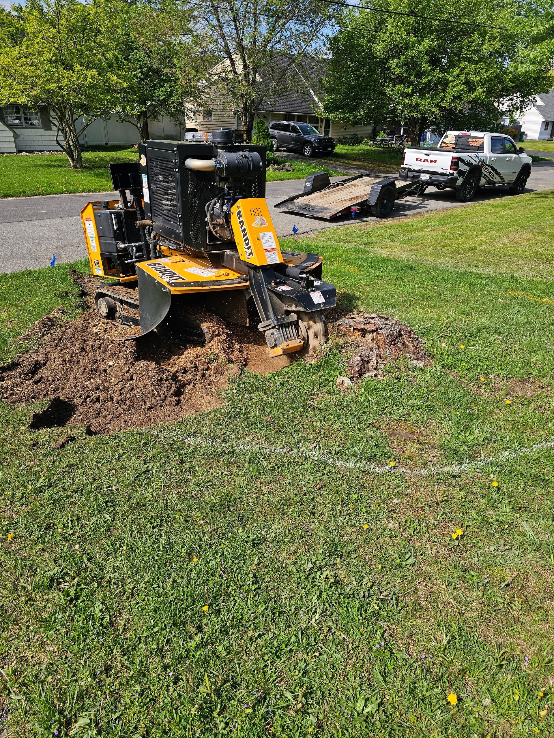 Yellow stump grinder chewing up a tree stump in a grassy yard, with a truck parked nearby.