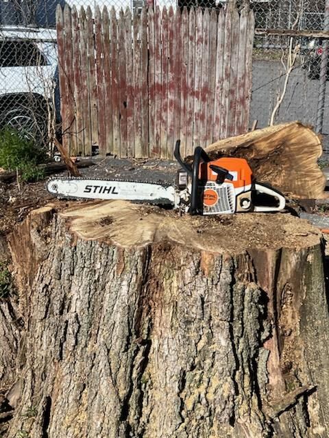 Stihl chainsaw resting on a cut tree stump outdoors, with split logs and a weathered fence behind it.