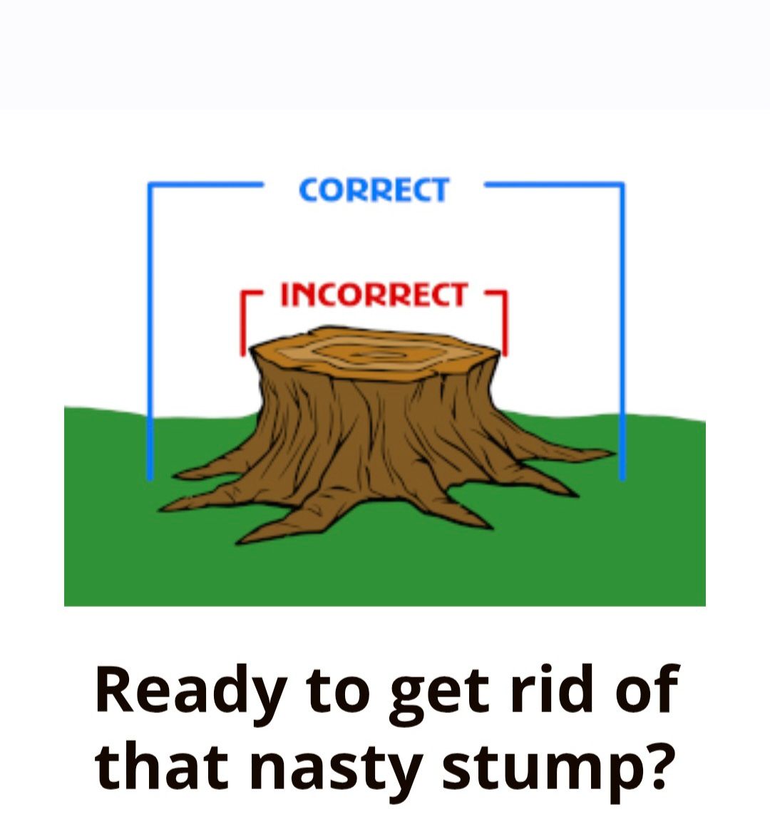 Diagram of stump removal: blue “correct” and red “incorrect” brackets around a tree stump, with text “Ready to get rid of that nasty stump?”