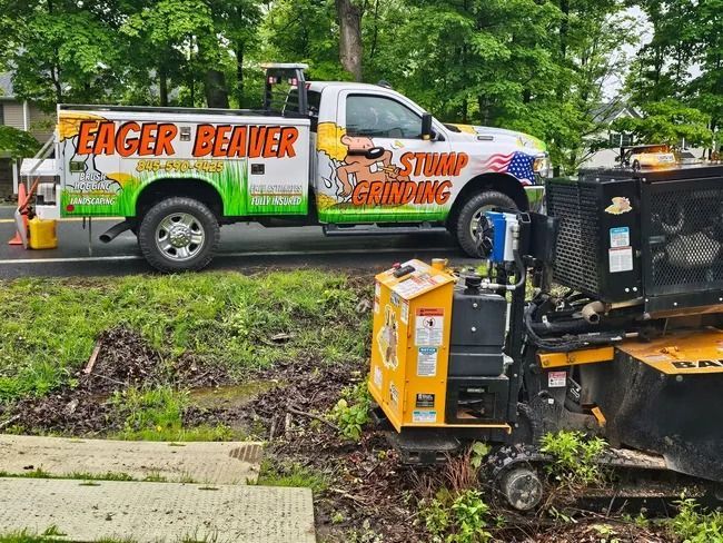 Bright orange Eager Beaver stump grinding truck beside a black stump grinder on a wet roadside.