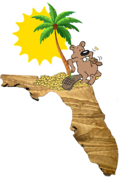 Eager Beaver Stump Grinding FL