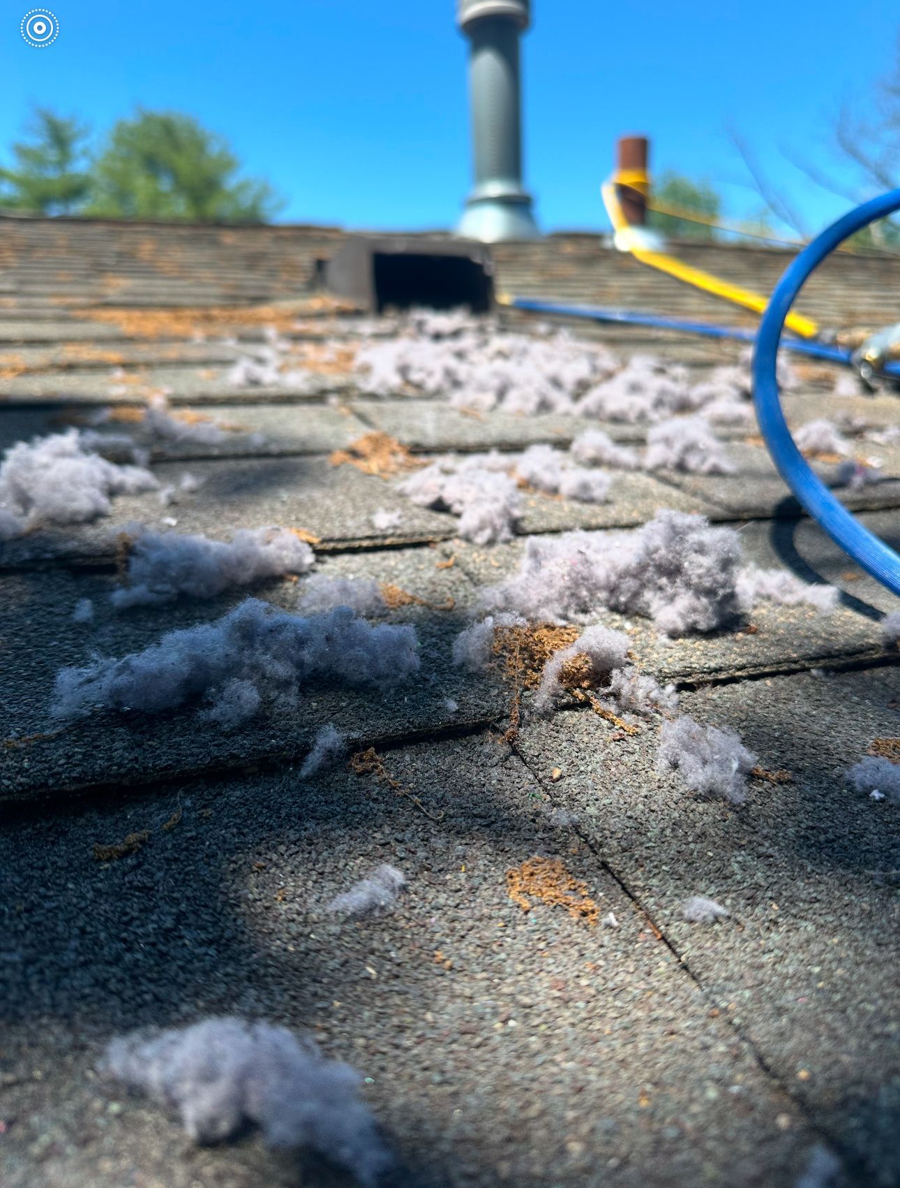 A close up of a floor with a lot of air duct vent dust on it.