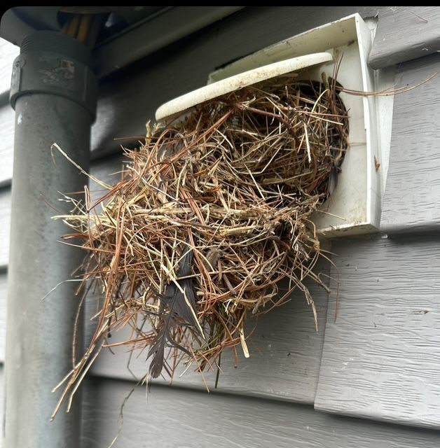 a clogged dryer vent is attached to the side of a house