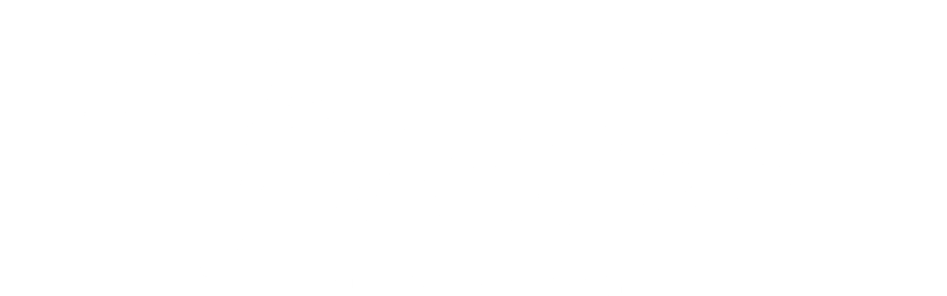 Fender Authorised Dealer