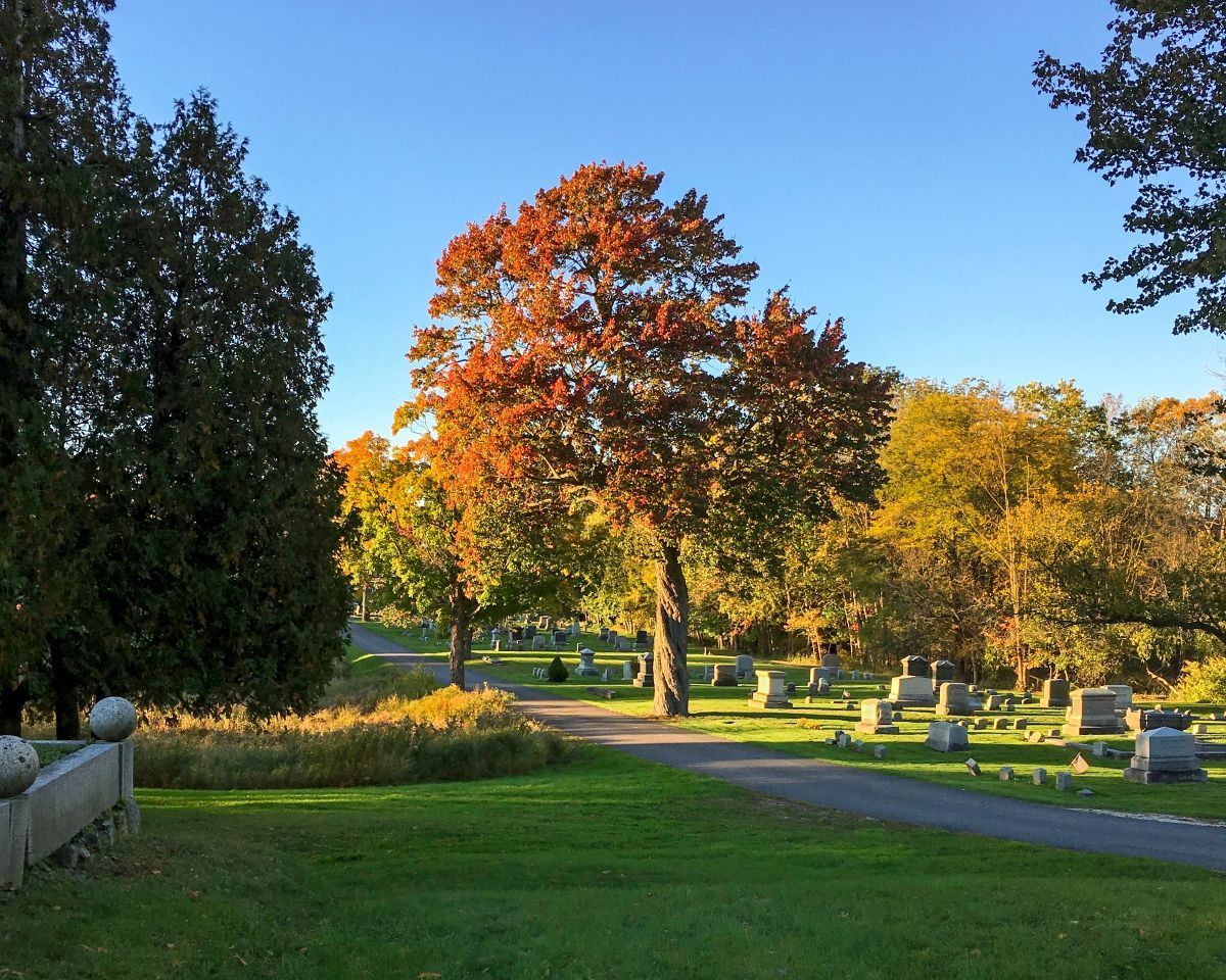 A cemetery with autumn foliage. A tree with vibrant red and orange leaves stands in the center, with headstones and green grass throughout.