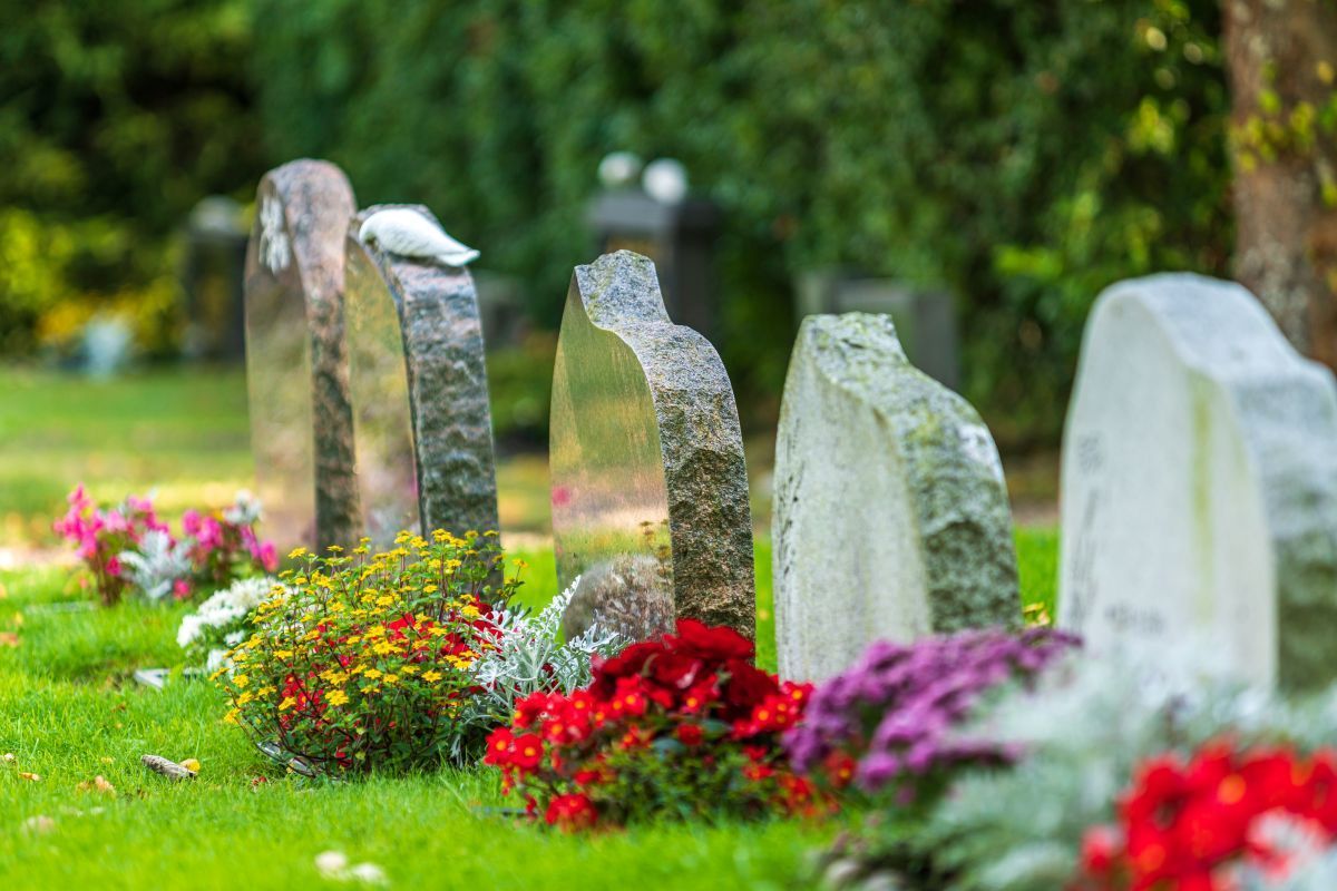 Row of gravestones in a cemetery, with colorful flowers in front. Green grass and trees in the background.