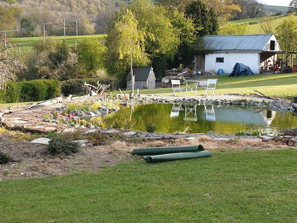 house with a pond