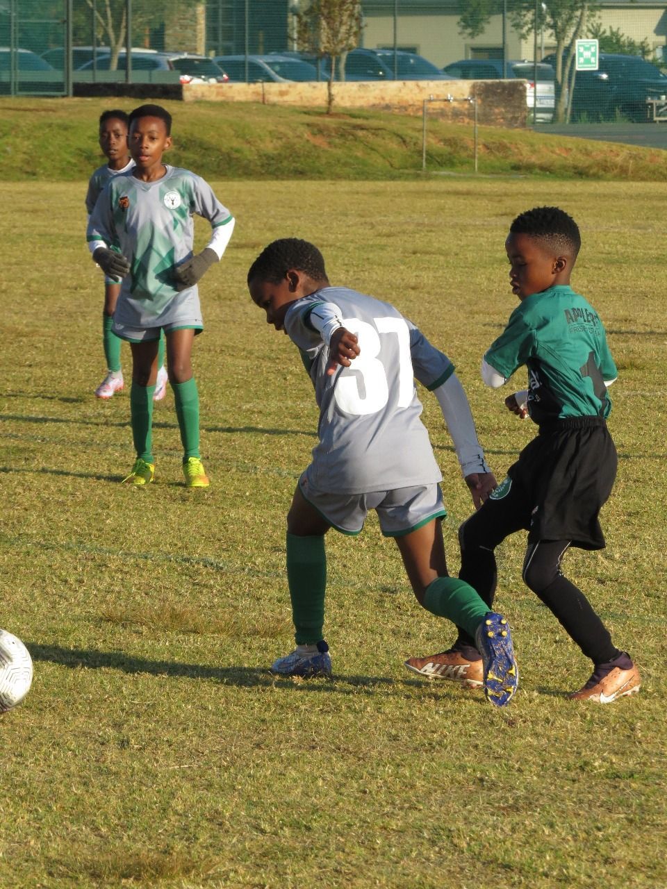 Youth soccer players in gray and green jerseys compete for a ball on a sunny grass field.