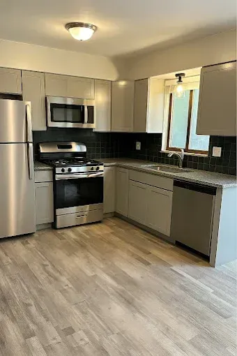 Modern kitchen with stainless steel appliances, gray cabinets, black backsplash, and wood-look flooring