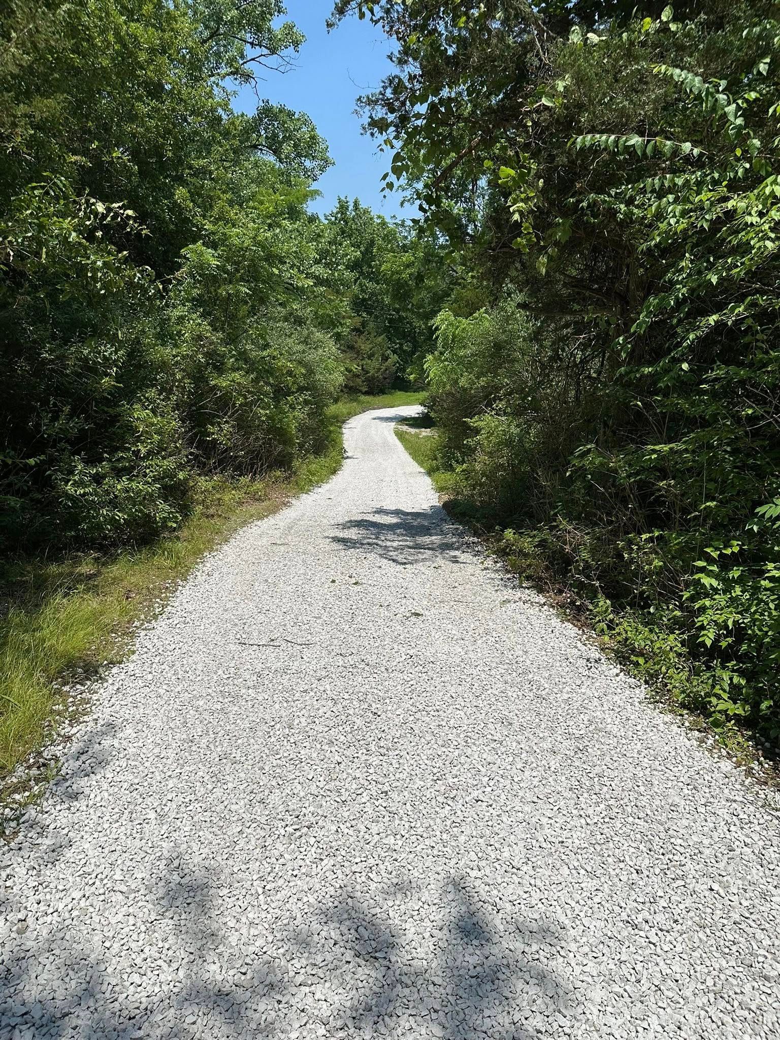 Gravel path curves through lush green trees under a bright blue sky.