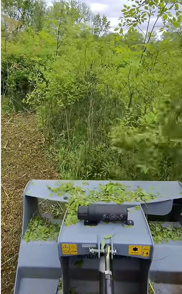 Front view from a machine moving through dense green brush and tall weeds on a narrow trail.