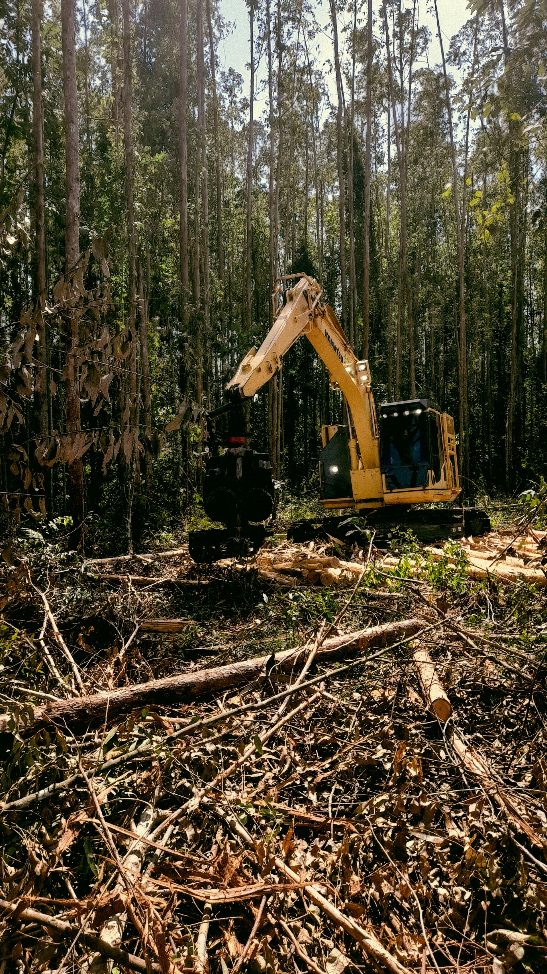 Yellow excavator clearing a wooded area with cut branches and tree stumps on the ground