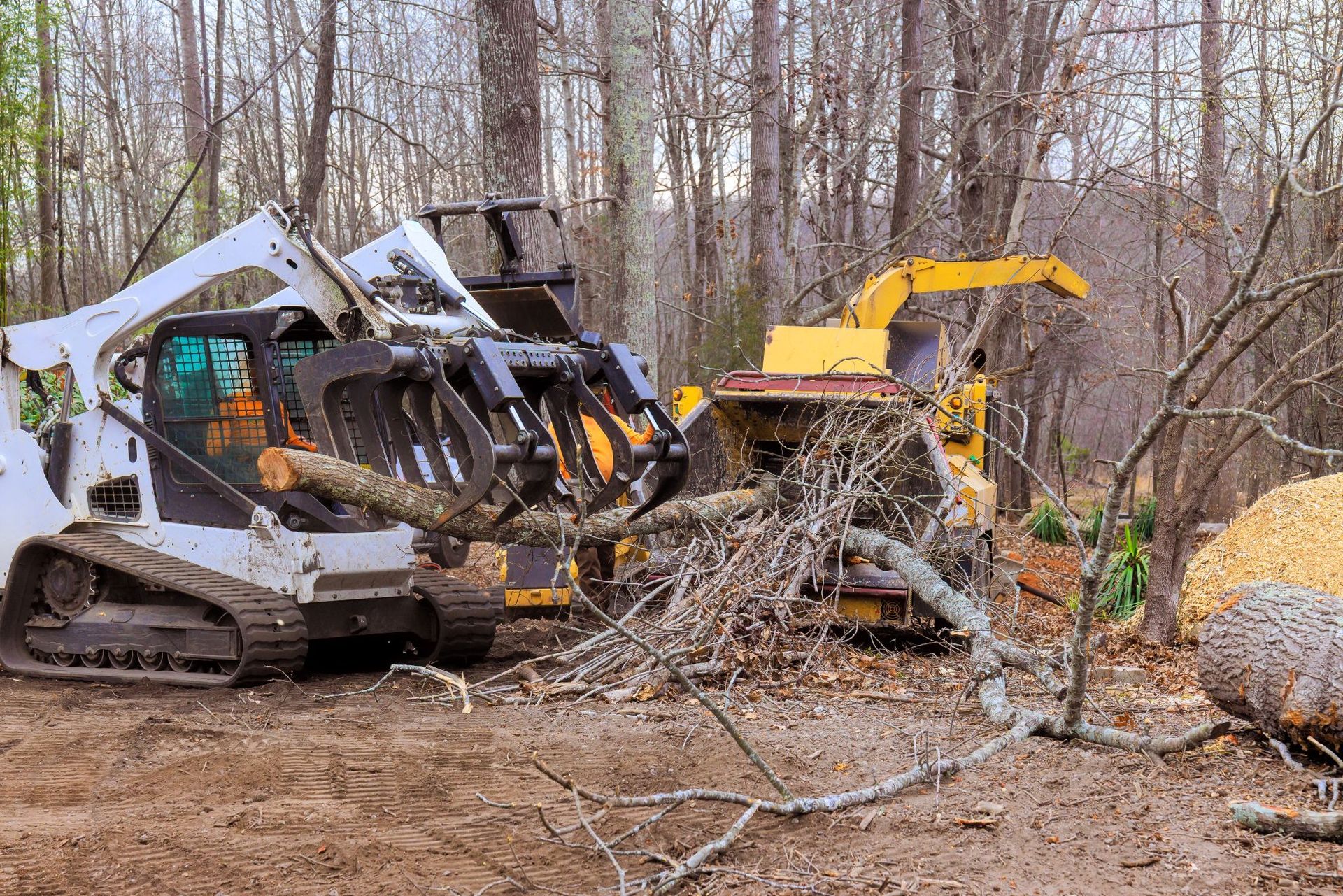 Tracked machine and yellow excavator clearing brush in a leafless forest.