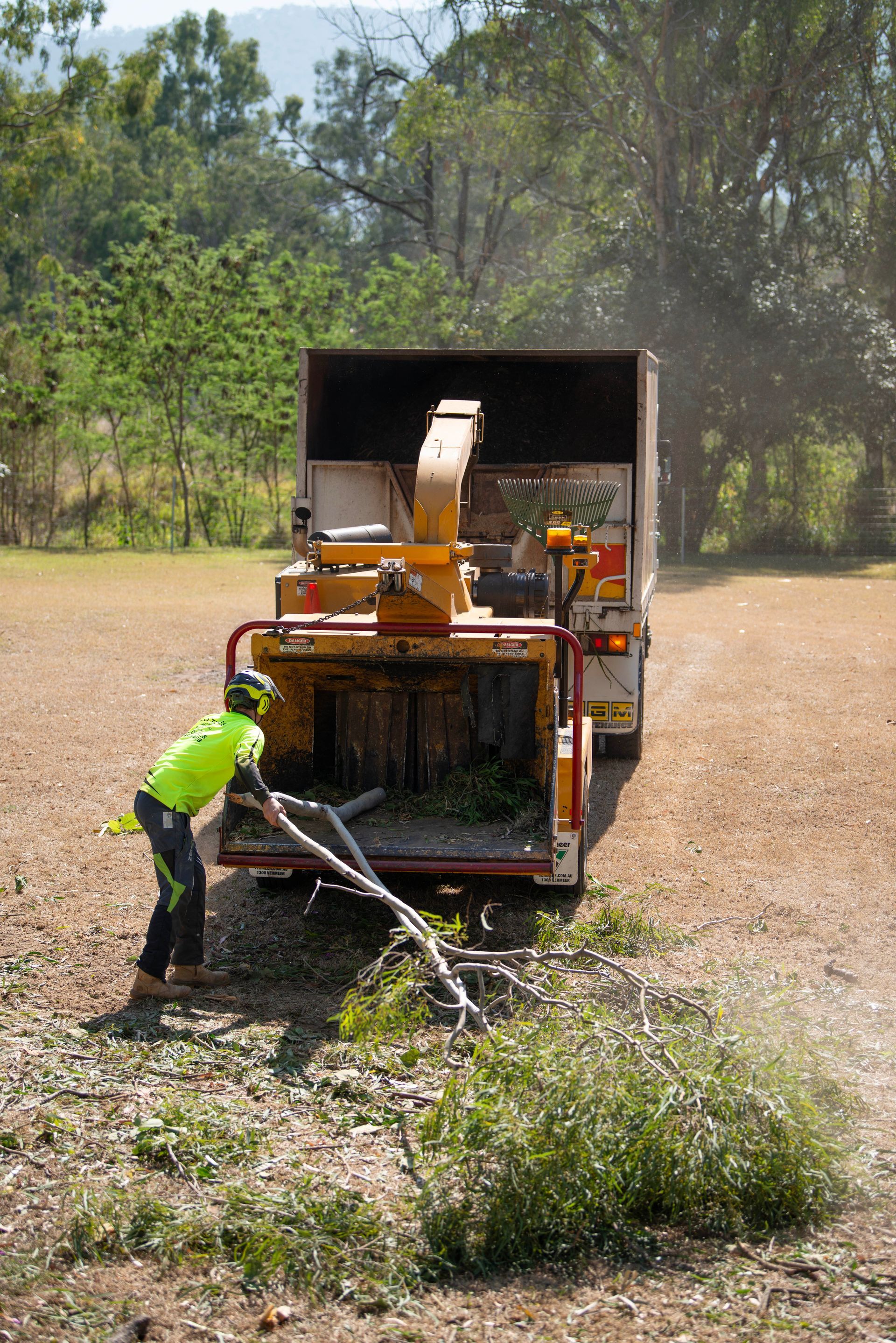 Large Tree - Worker Lopping — CQ Trees in Rockhampton, QLD Large Tree - Worker Lopping — CQ Trees in Rockhampton, QLD