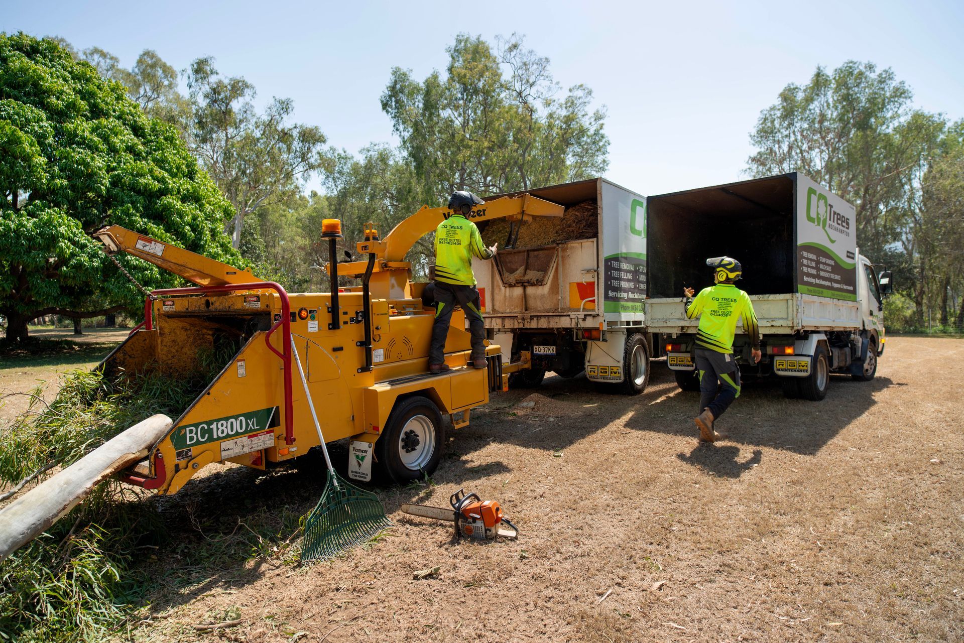 Bush Trimming Work — CQ Trees in Rockhampton, QLD Bush Trimming Work — CQ Trees in Rockhampton, QLD