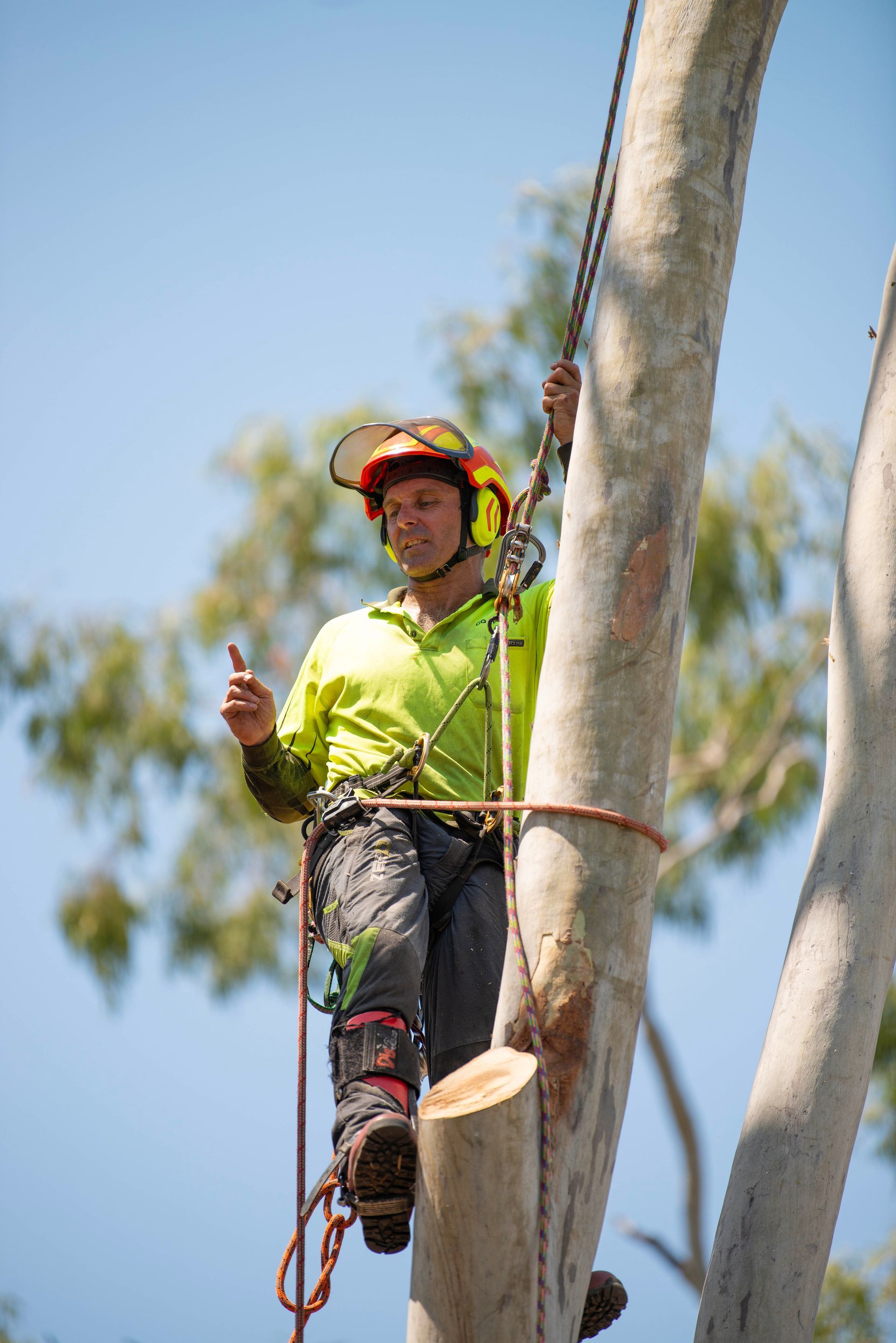 Vehicle with Two Workers — CQ Trees in Rockhampton, QLD Vehicle with Two Workers — CQ Trees in Rockhampton, QLD