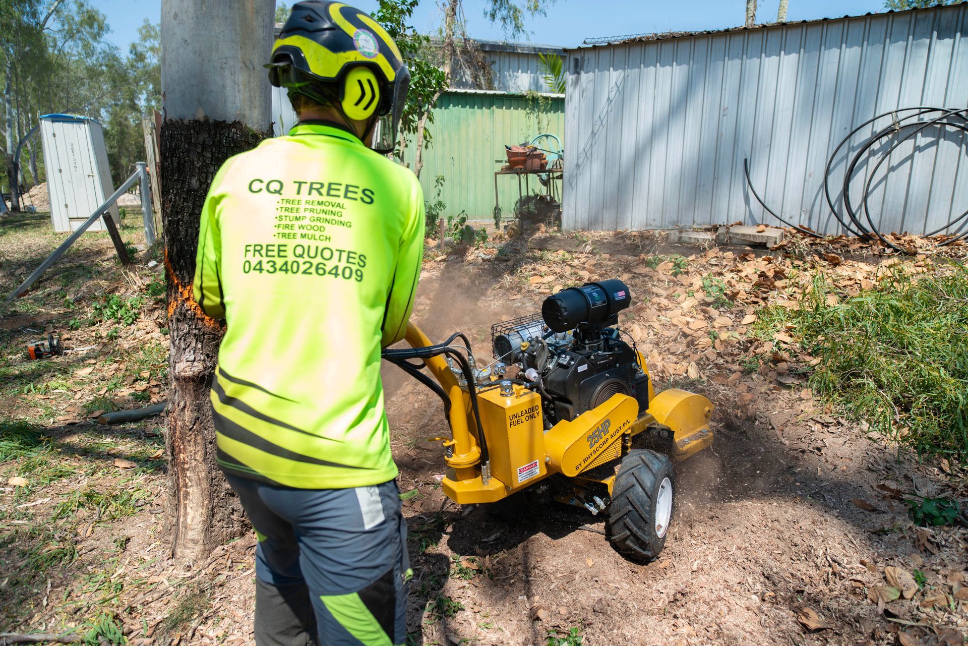 Removal of Tree & Stump — CQ Trees in Rockhampton, QLD