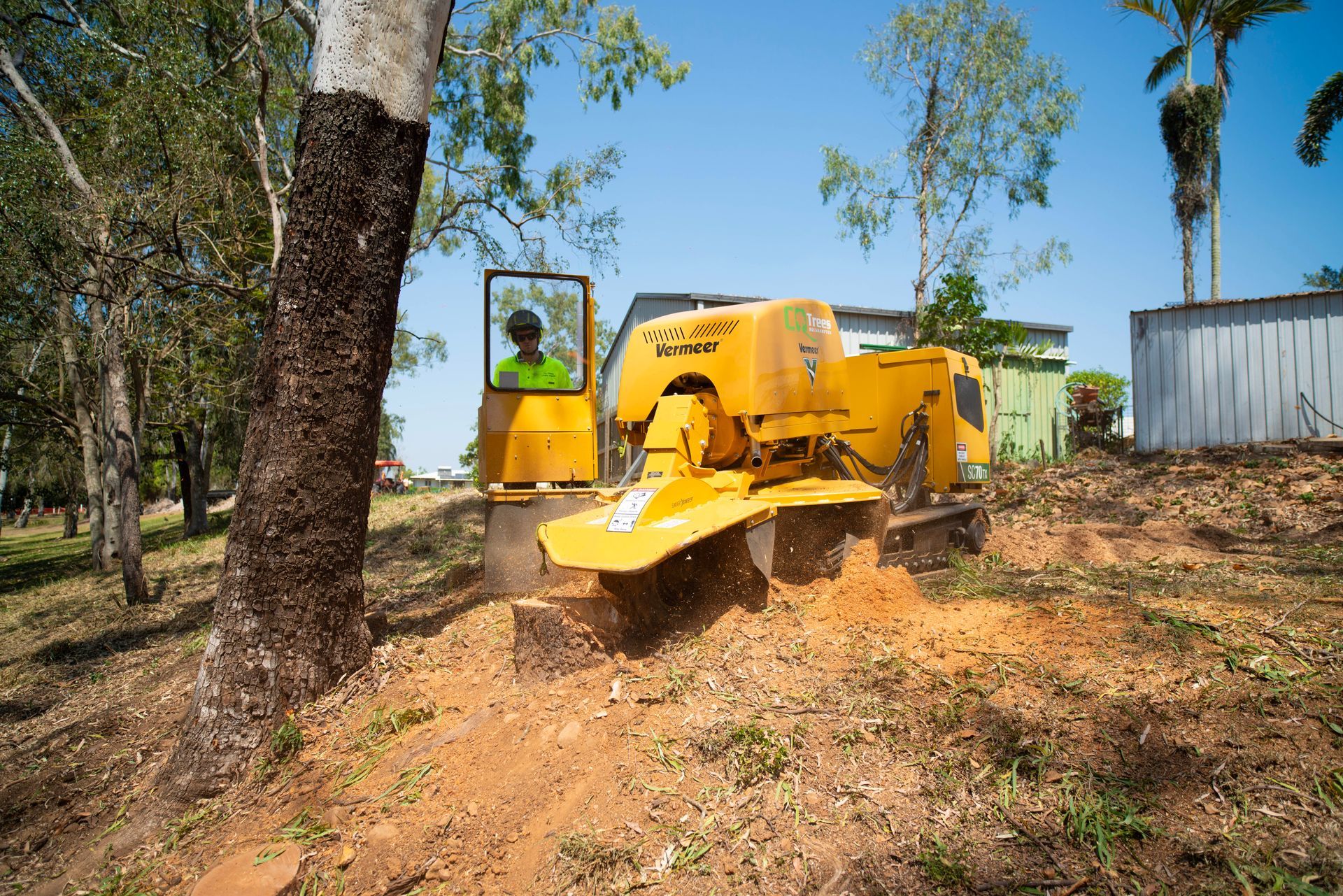 Stump Removal — CQ Trees in Rockhampton, QLD