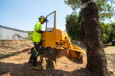 Stump Grinding Machine — CQ Trees in Rockhampton, QLD