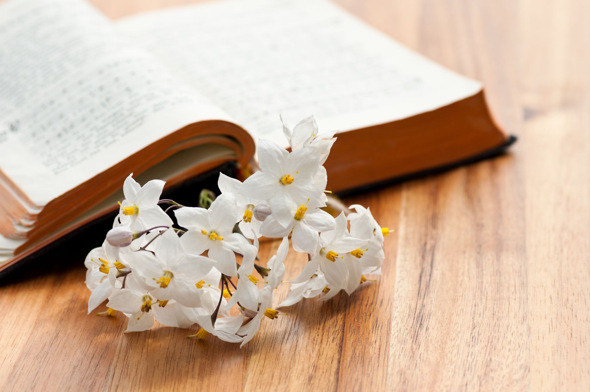 Open book with white flowers on a wooden table