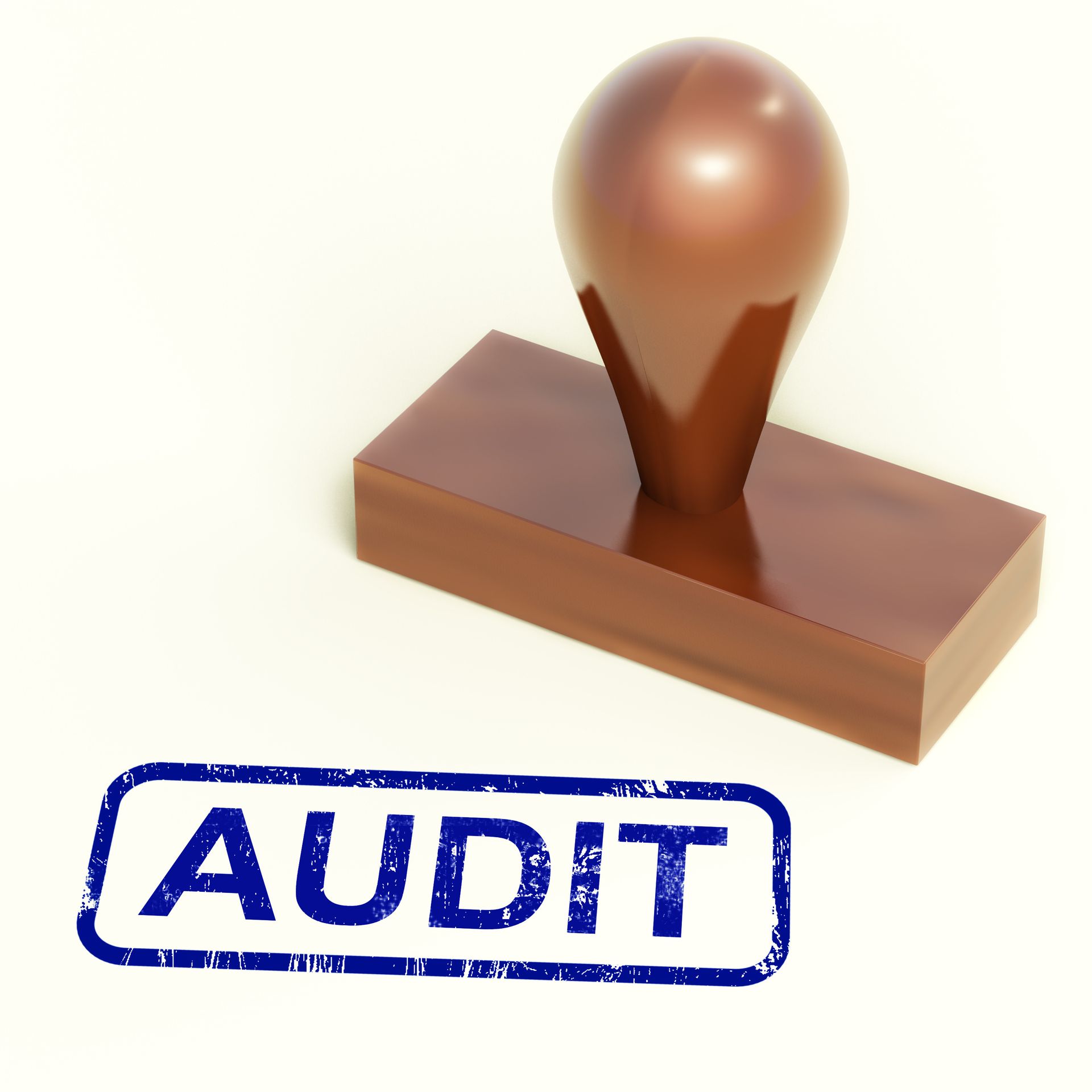 tax audit support