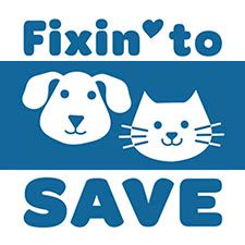 Blue logo with dog and cat; text reads 