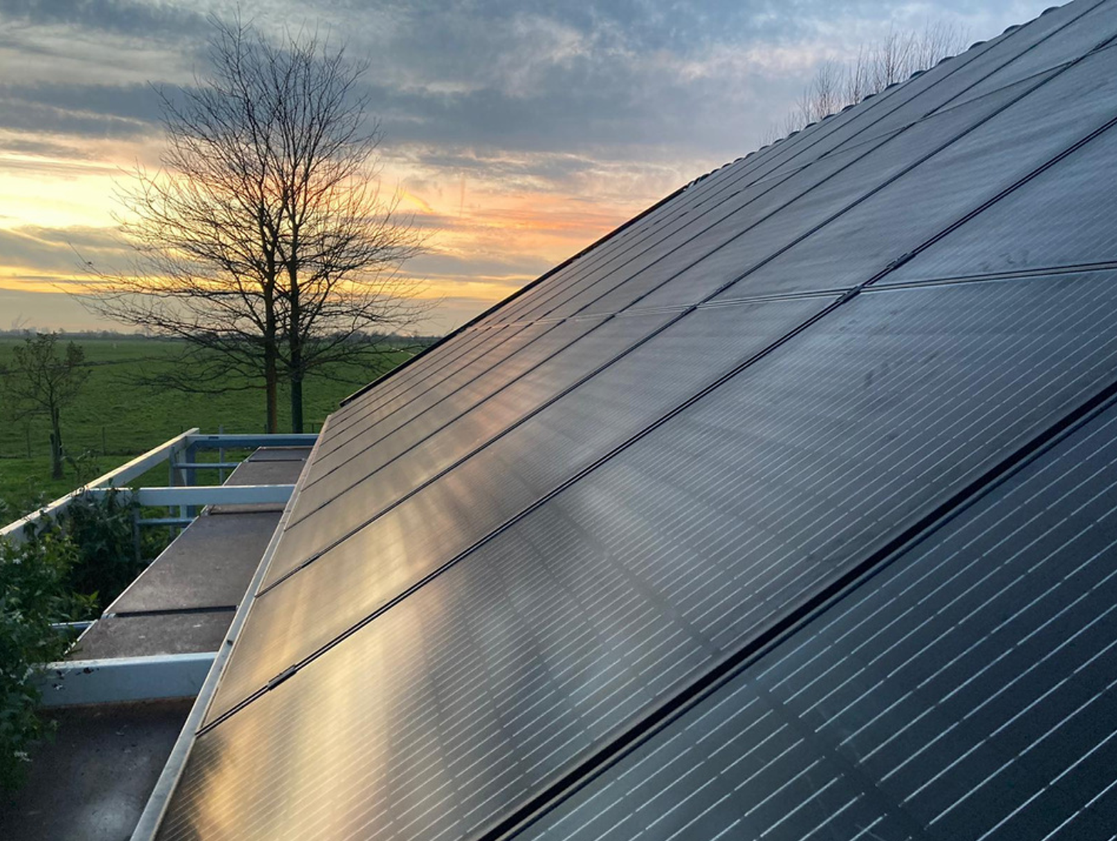 Zonnepanelen op een dak bij zonsondergang met een boom en een open veld op de achtergrond.