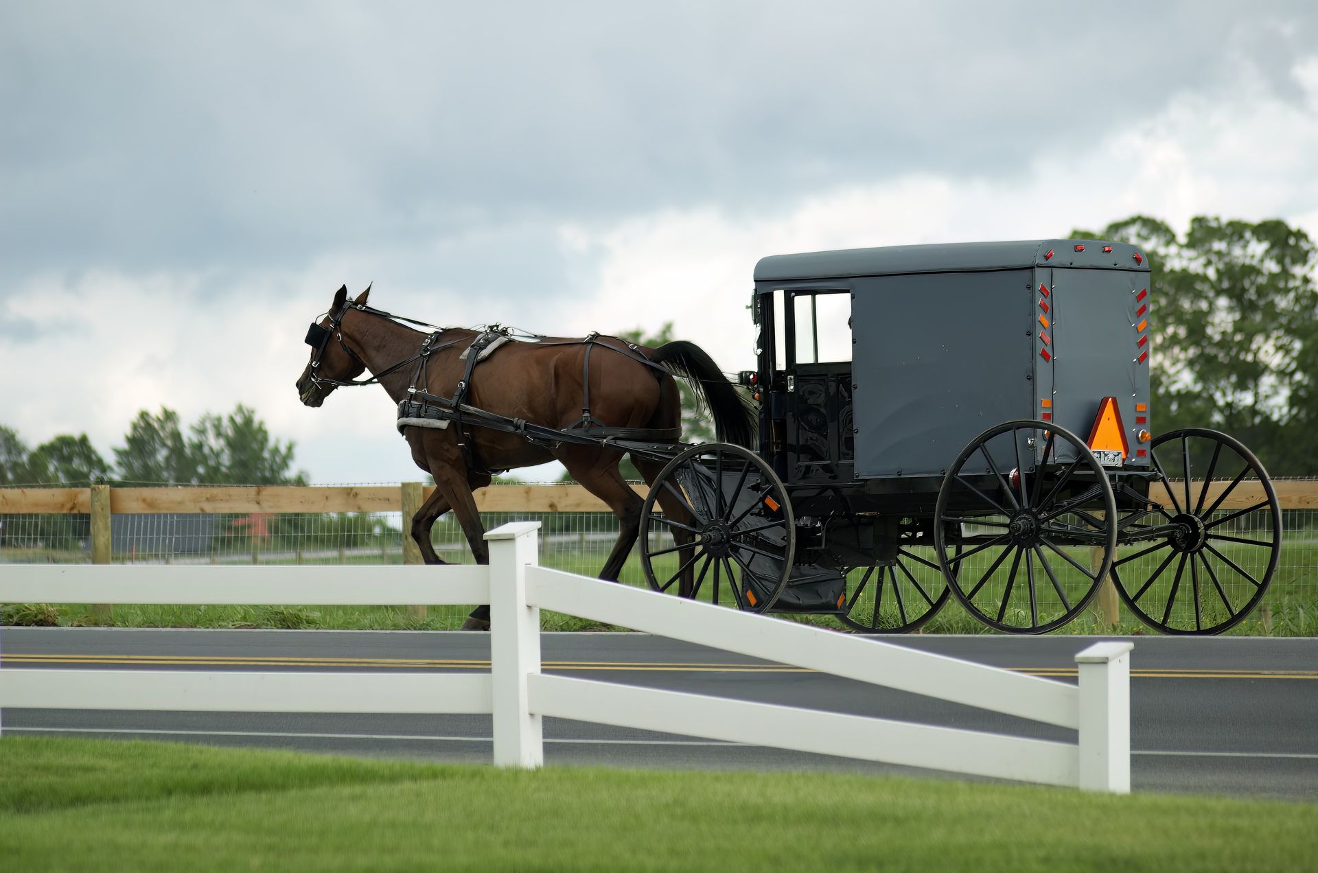 Horse-drawn Amish buggy on a road, brown horse, gray buggy, white fence, green grass, overcast sky.