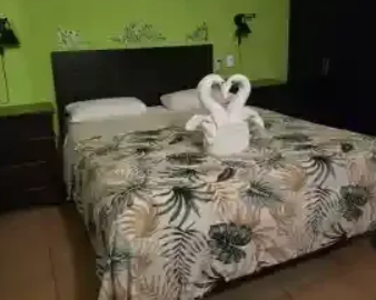 Room Queen in MarcianitoHotel at Isla Mujeres