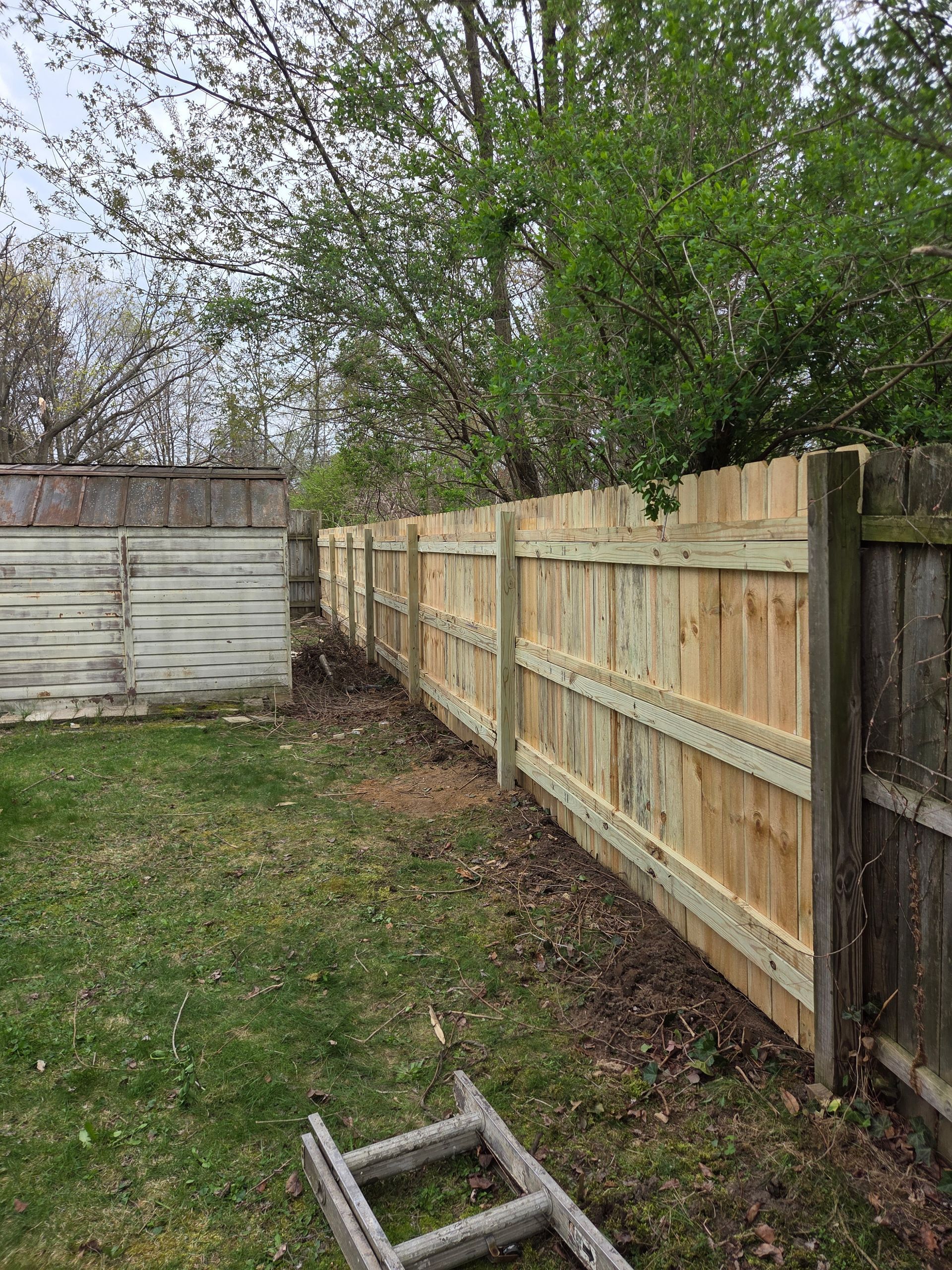 Backyard with wooden fence, trees, and a small ladder on the grass