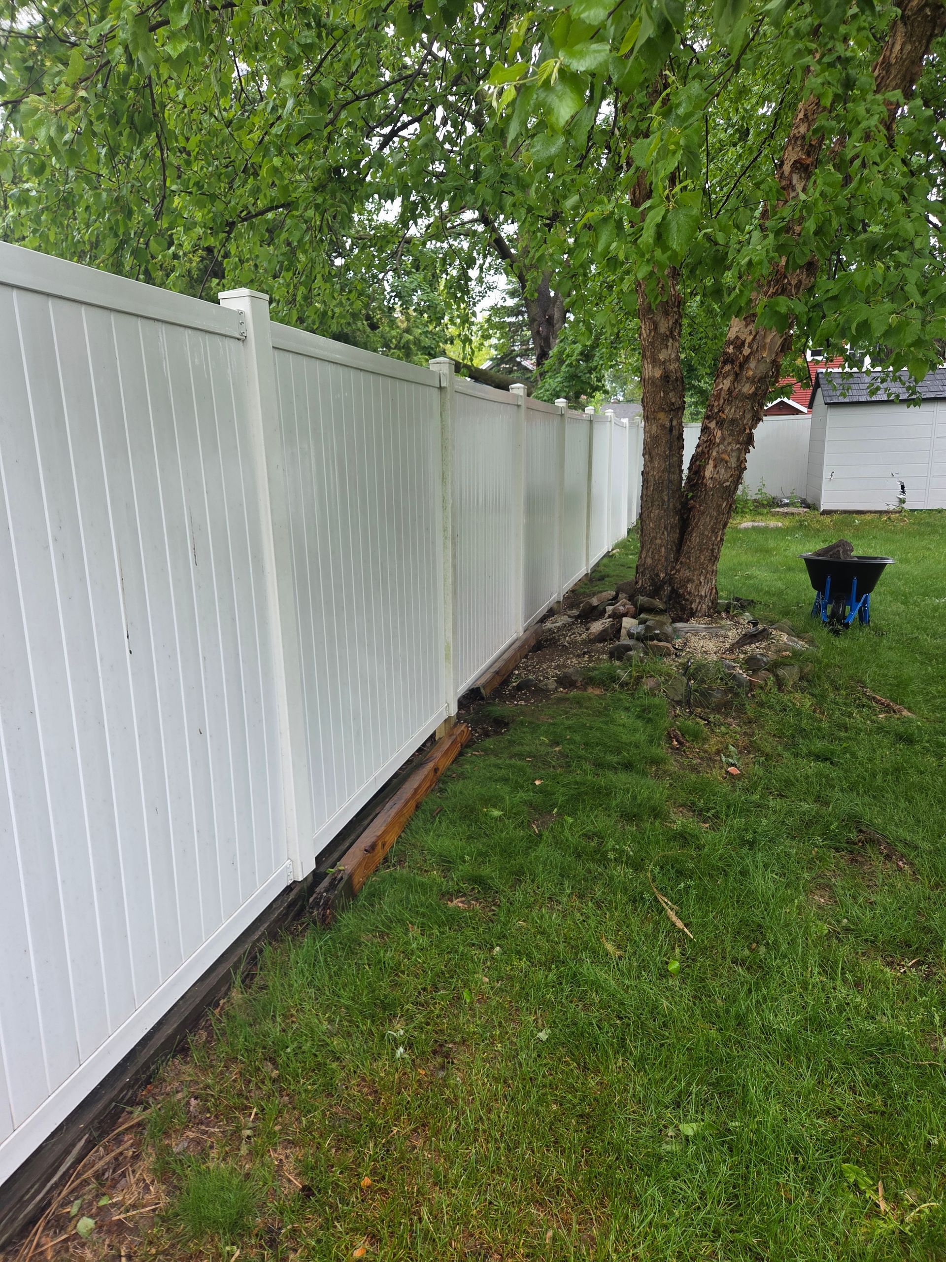 White vinyl fence beside a grassy yard with a tree and a blue planter