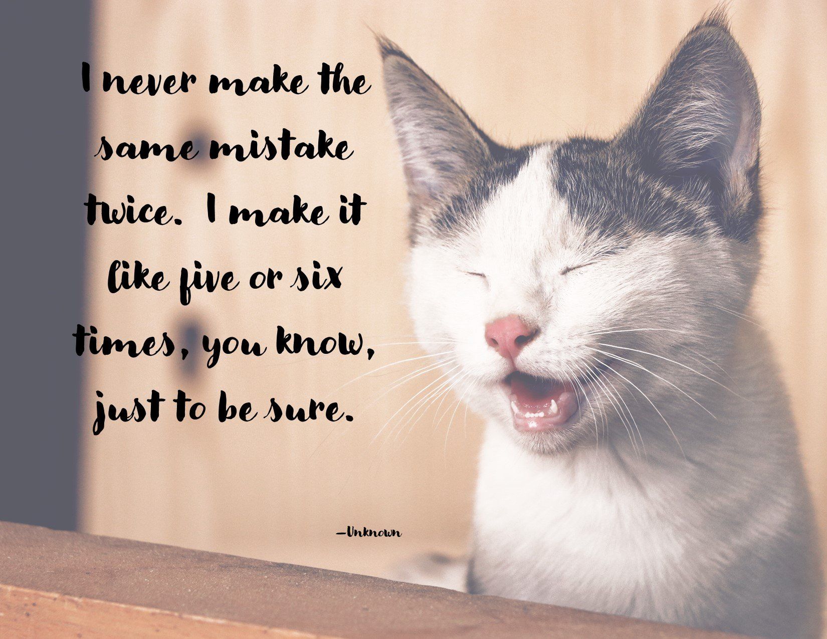 A cat with a quote on it that says i never make the same mistake twice