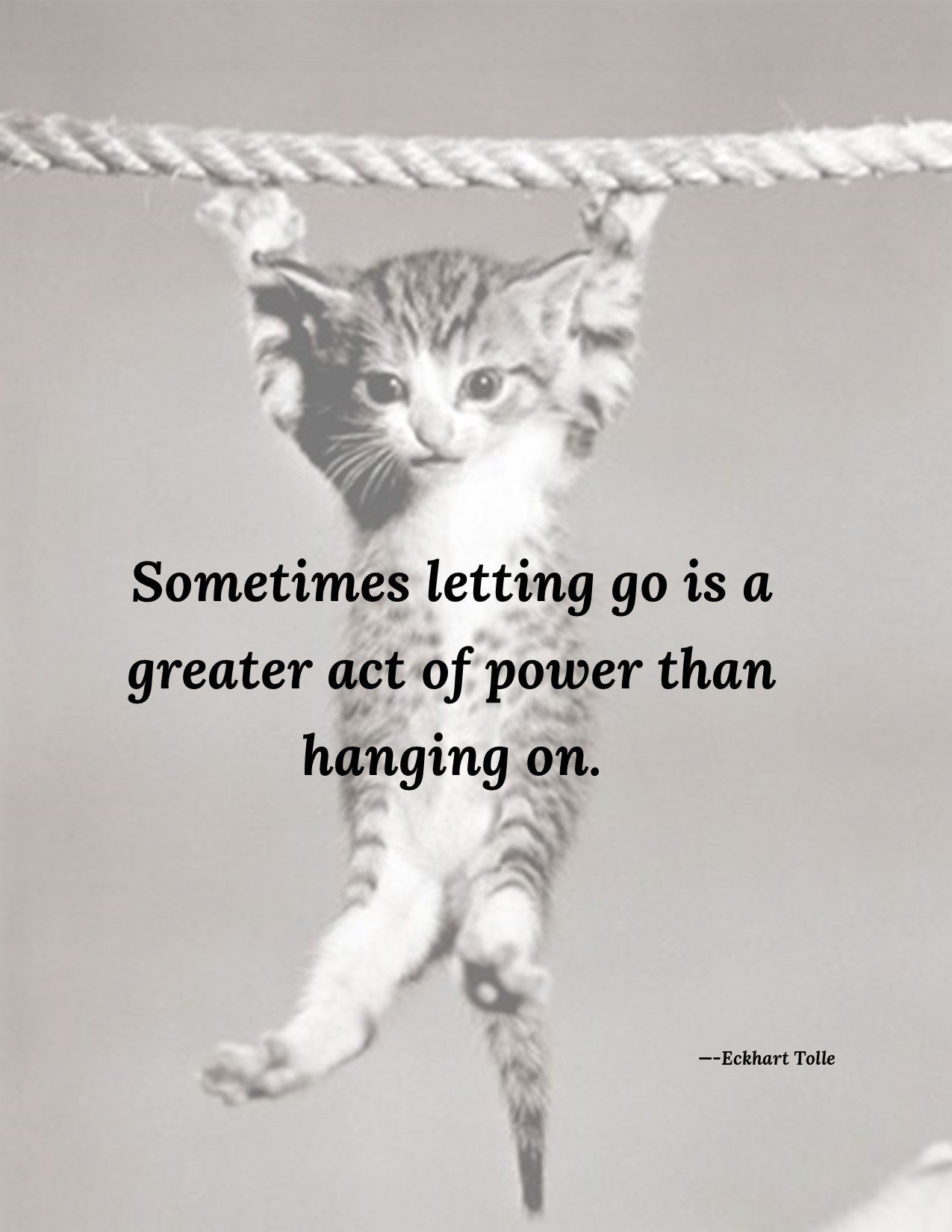 Motivational quote