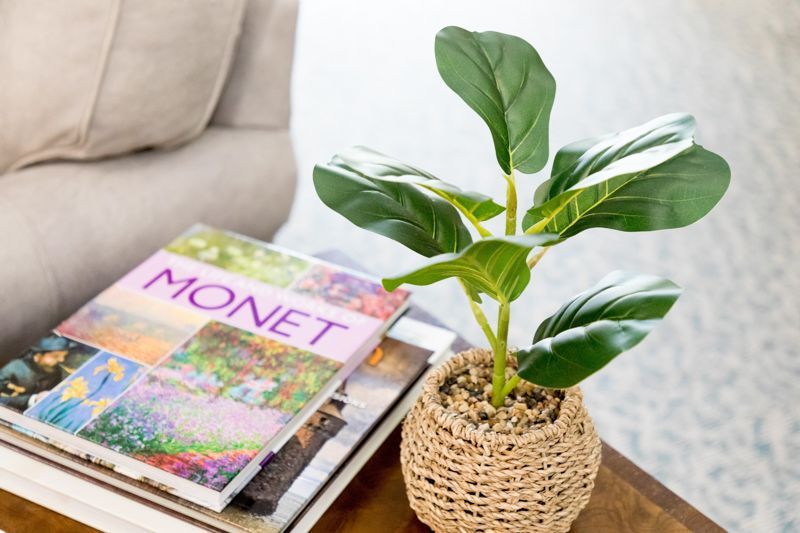 A potted plant is sitting on top of a stack of books on a table.