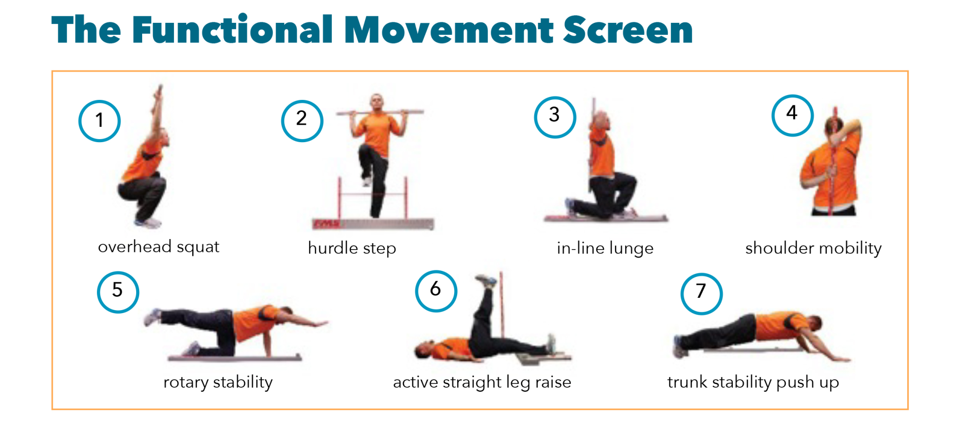 Functional Movement Screen - Body Basic Fitness - Personal Trainer Near me Warren NJ
