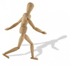 Posture and Balance Training in Warren, NJ - Body Basics Fitness - Personal Training