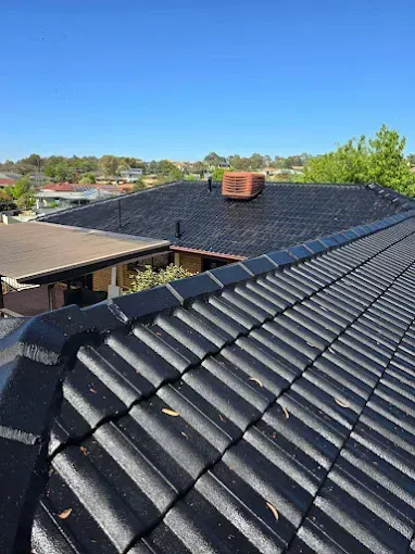 Black tiled rooftops under a clear blue sky in a residential neighborhood Black tiled rooftops under a clear blue sky in a residential neighborhood