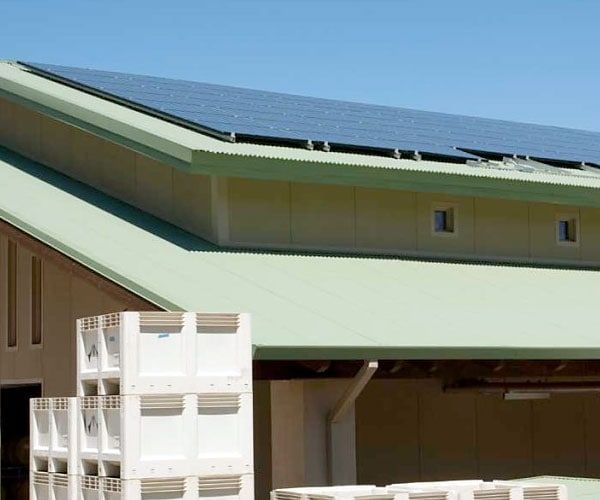 A building with a green roof has solar panels on it