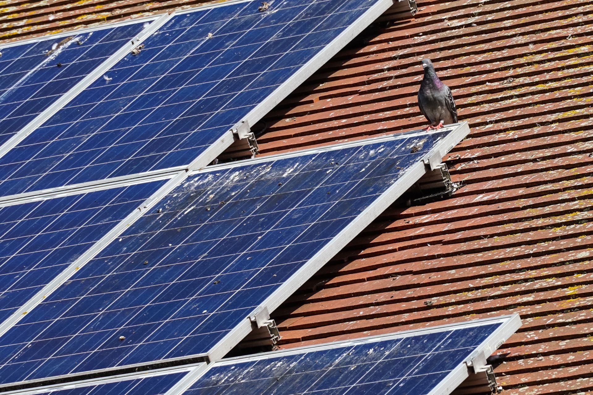 Old Solar Panels