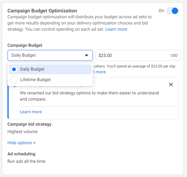 Facebook Ad budget setup