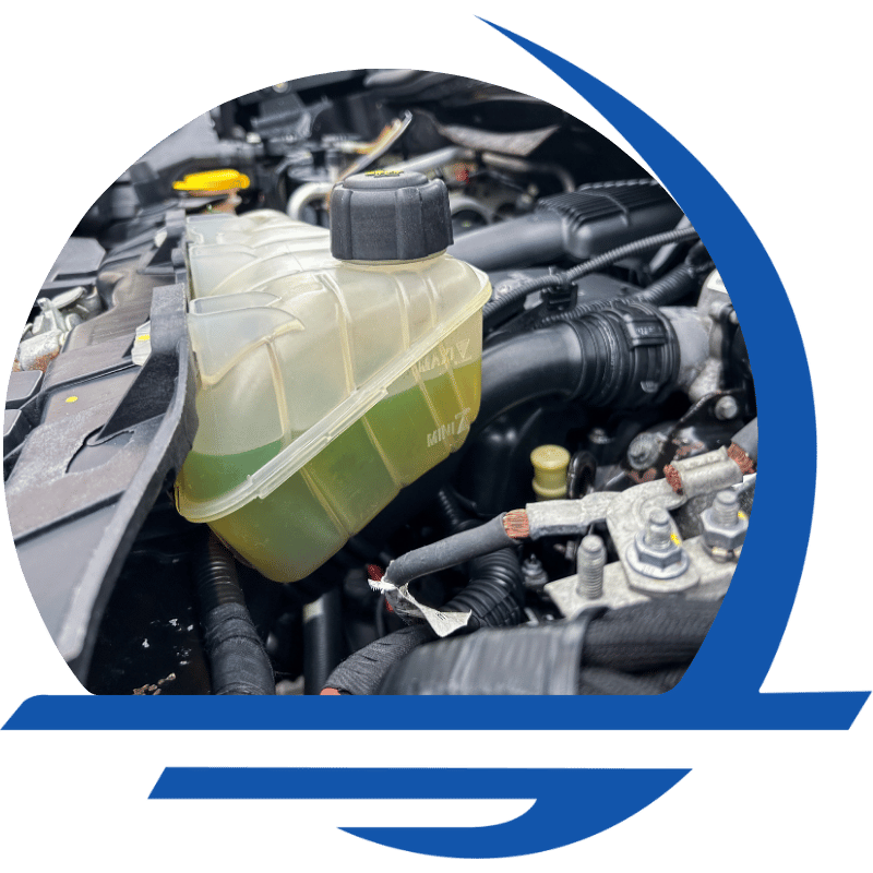 Fluid Check & Top-Off Service