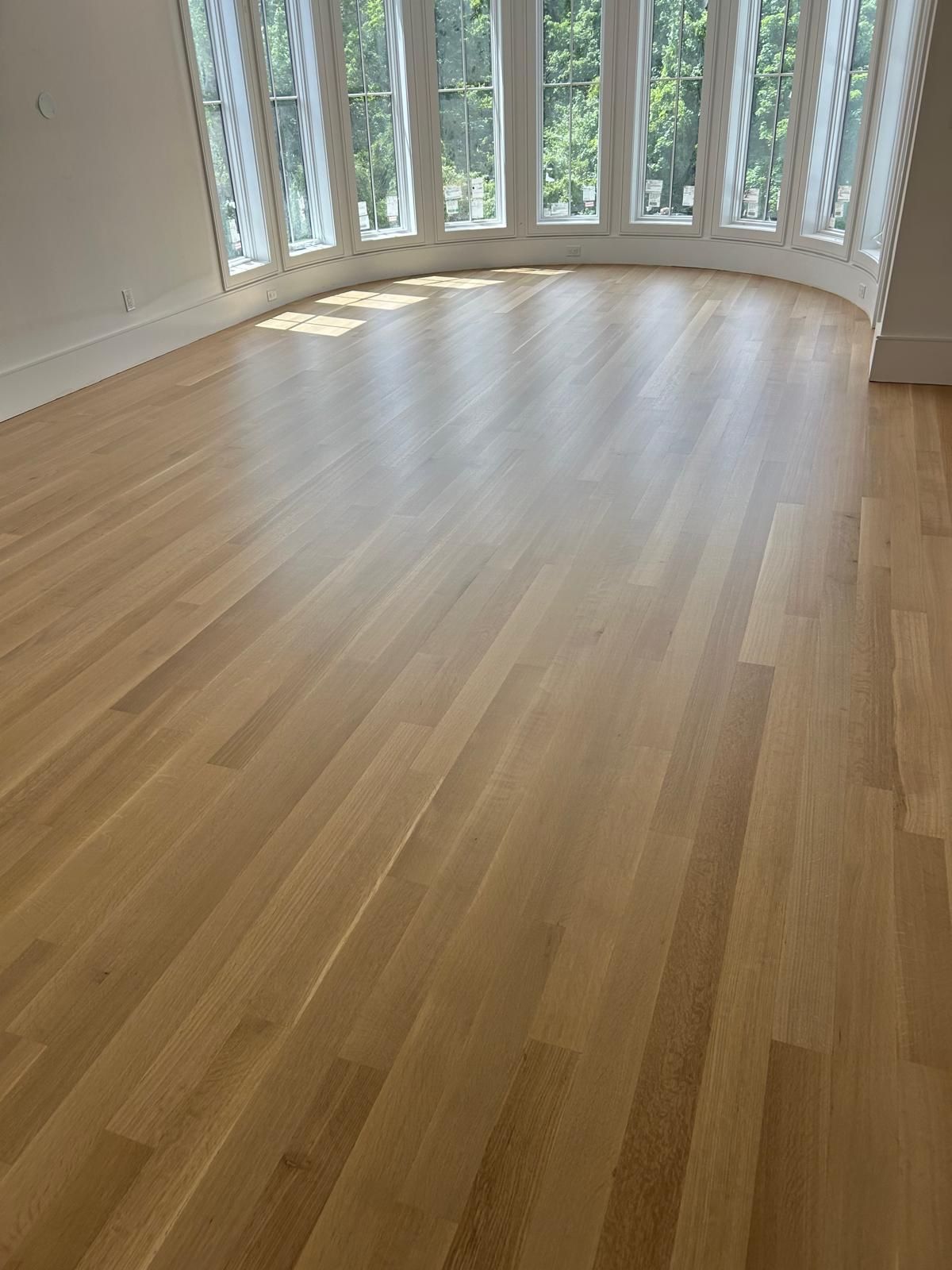 Empty room with light wood floors and tall curved windows letting in sunlight