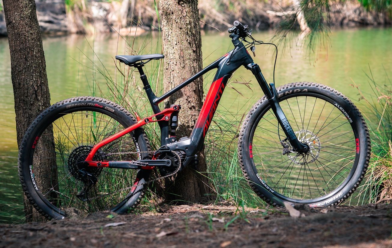 Red and black mountain bike leaning against a tree in a wooded area near water— City Centre Cycles in Berserker, QLD