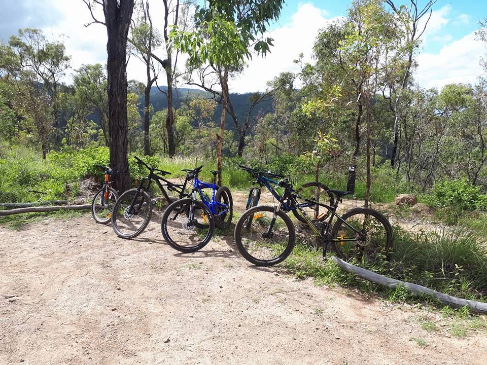 Three Mountain Bikes Parked on A Dirt Trail in A Sunny Wooded Area — City Centre Cycles in Berserker, QLD