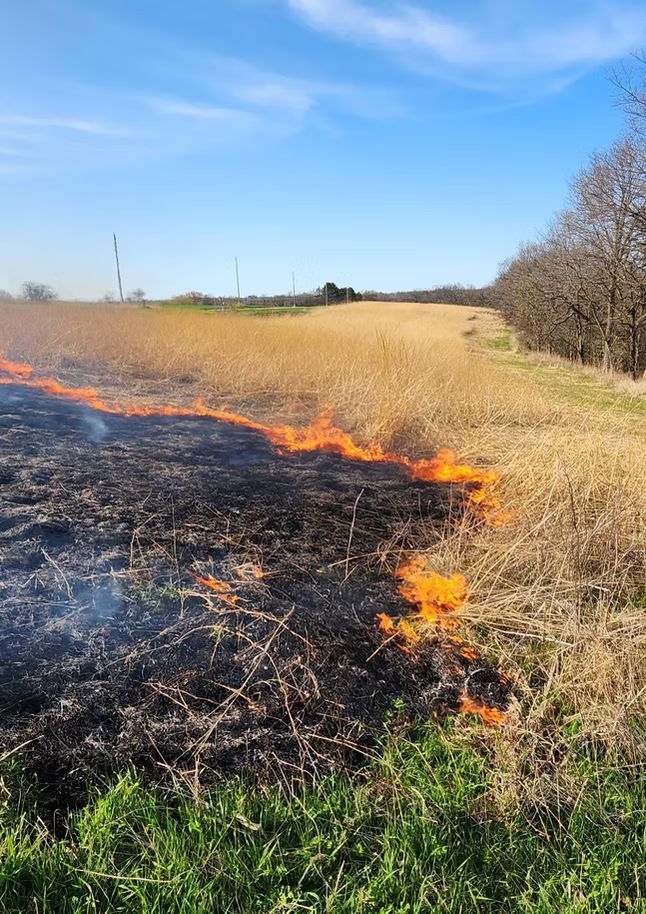 Controlled fire line burning dry brush along a field in Southwest Wisconsin.