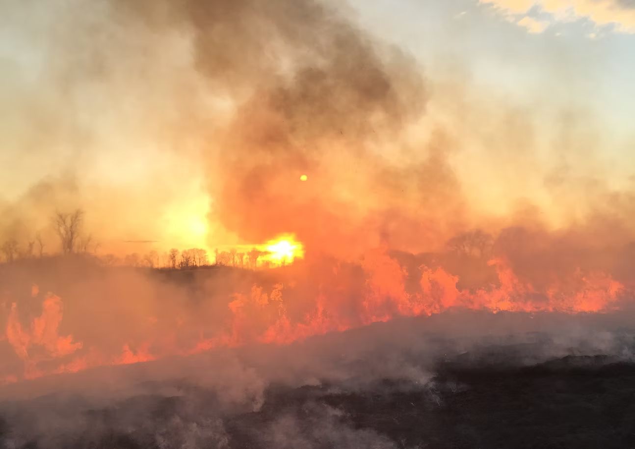 Controlled prescribed burning through a field at sunset in Southwest Wisconsin.