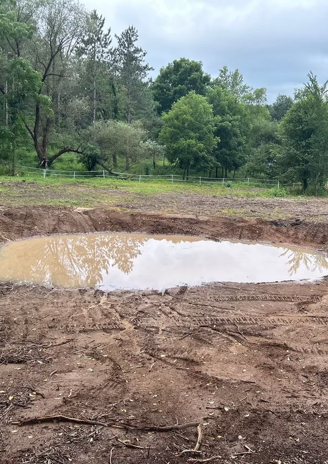 Newly excavated shallow wildlife pond created for habitat improvement in Southwest Wisconsin.