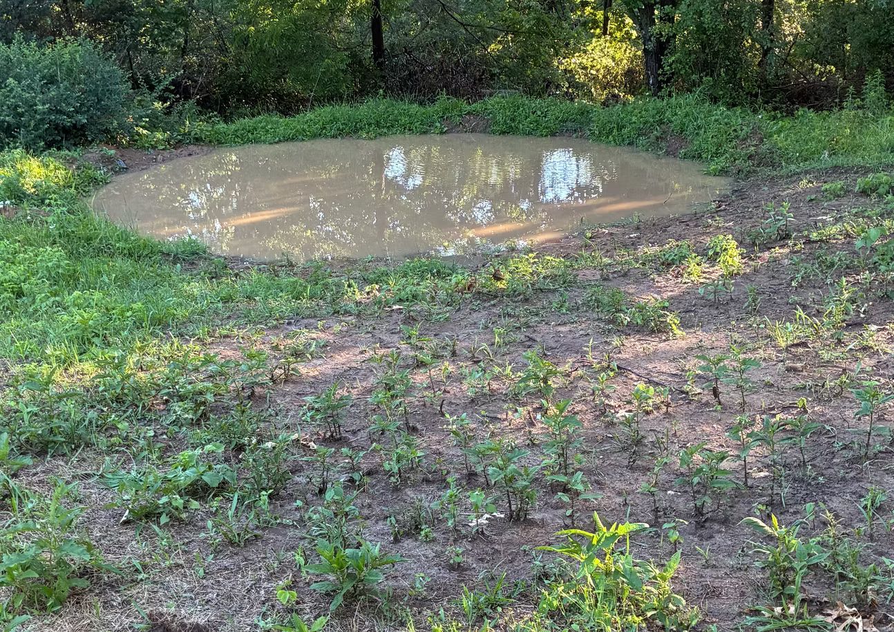 Small wildlife water hole constructed for land improvement in Southwest Wisconsin.