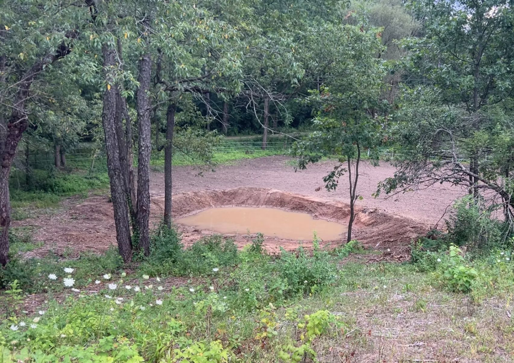 Excavated wildlife water hole surrounded by clearing in Southwest Wisconsin.